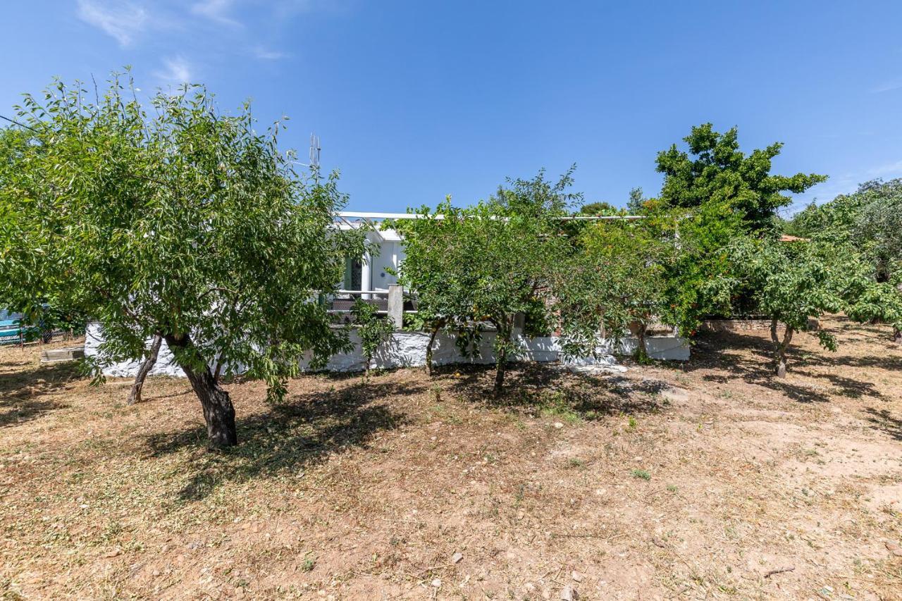 Skopelos Amigdalia Cottage Eksteriør bilde